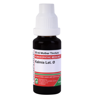 Kalmia Latifolia Q (20ml)